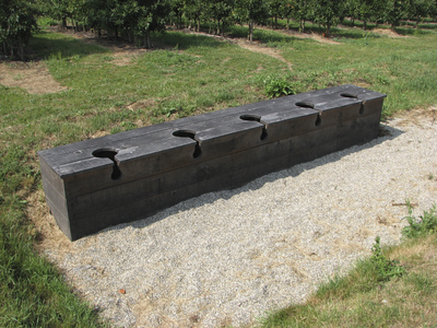 905405 Afbeelding van een houten replica van enkele latrines, op het terrein van het Romeinse badhuis bij Castellum ...